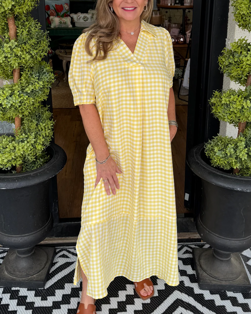 Gingham Breeze Maxi Dress